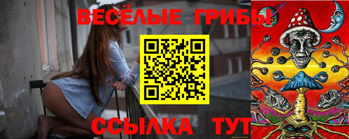 Псилоцибиновые грибы мицелий  Вход с VPN  Галлюциногенные грибы мухоморы  магазин продажи   Нальчик 