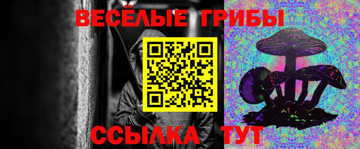 Псилоцибиновые грибы Cubensis Нальчик
